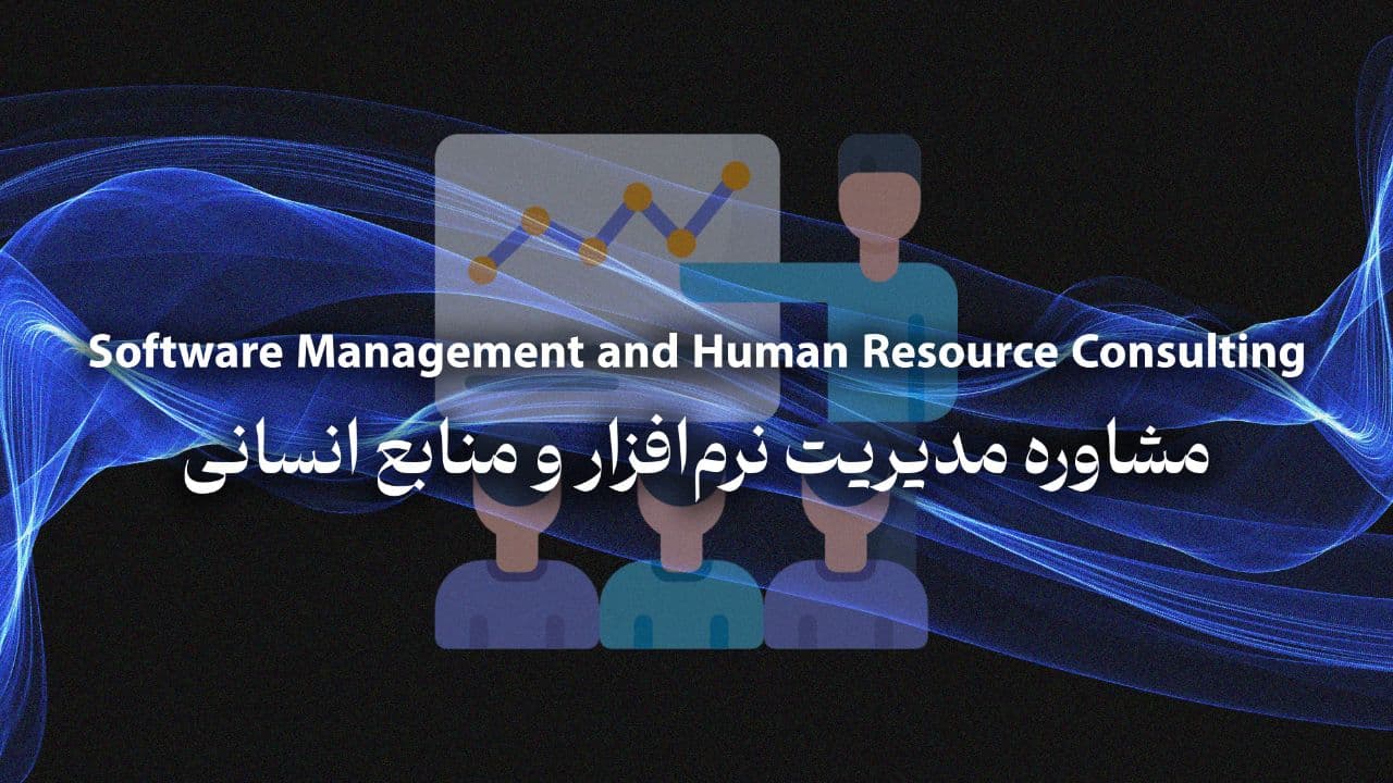 استشارات إدارة البرمجيات والموارد البشرية
